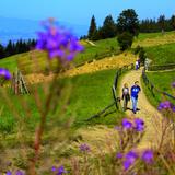 Image: Hiking trail: In the heart of Gorce