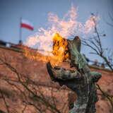 Obrazek: Smoki grasują w Krakowie! Nowa atrakcja turystyczna nie zieje ogniem