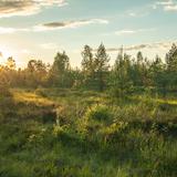 Bild: Multimediazentrum für Schutz und Popularisierung der Moorlandschaft in Chochołów 