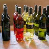 Klika butelek win z Winnicy Dąbrówka stojące na stole.